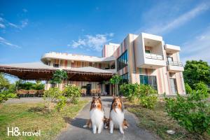 Taitung Rainbow Pet Friendly Maison Resort - Ubytování bez kategorie ve městě Tchaj-tung