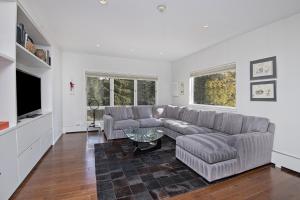 Lionshead Center #101 condo