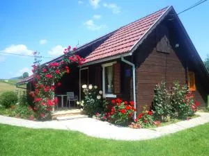 Wooden house Nela near Plitvice Lakes - Smoljanac