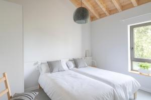 BAO 4 APARTAMENTO CON TERRAZA