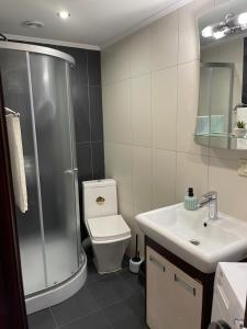 Apartment near Opera