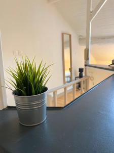 Appartements Les Cosy De Nancy - Le nid douillet - 4* : photos des chambres