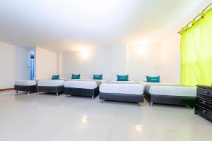 Ayenda Florida Nueva