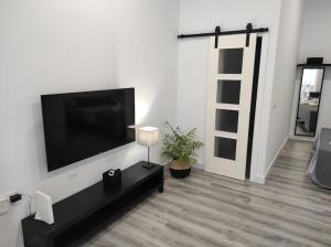 APARTAMENTO TURISTICO LYRA BAENA