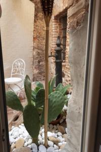 Hotel Anticos Palathos img93