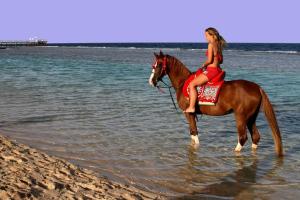 Sentido Akassia Beach