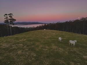 Farm Stay & Iconic Water Views - 32 Zachary Drive