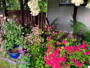 Brook House B&B & Cottages