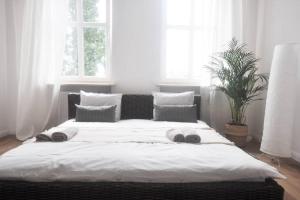 Sunny apartment 5min walk from Old Town