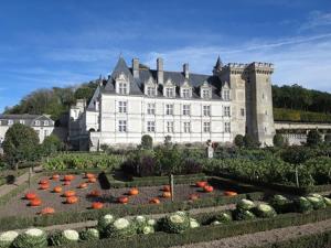 Maisons de vacances La CASITA : photos des chambres