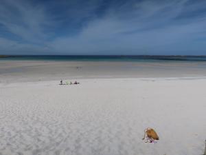 Maisons de vacances Holiday Home Ty va Zud by Interhome : photos des chambres