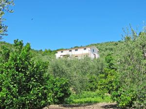 Apartment Villa Tavaglione-2 by Interhome