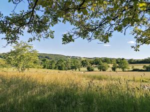 B&B / Chambres d'hotes Le Temps Serein : photos des chambres