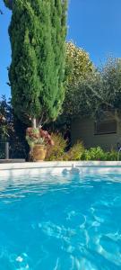 B&B / Chambres d'hotes Cocon Provencal - T1 25m2 - SdB - Terrasse privee & Acces Piscine a Saint Chamas : photos des chambres