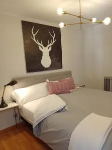 Origen Pelaire excelente limpieza y ubicacion - Biescas