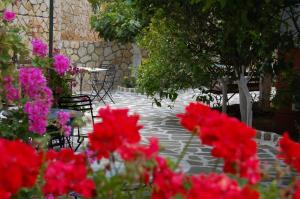 Hotel Villa Marie Epirus Greece