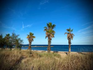 Appartements Coeur de Frejus, L'AMPHITHEATRE, appartement 3 pieces climatise, terrasse, barbecue, piscine & parking : photos des chambres