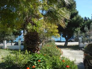 Elea Guesthouse Parnassos Greece