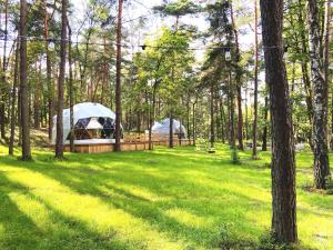 Planeta Glamping