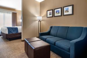 King Suite - Non-Smoking room in Comfort Suites Pell City I-20 exit 158