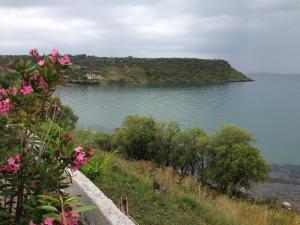 George Paradise Lesvos Greece