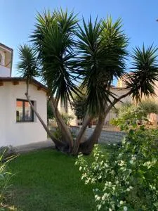 Il Pepe Rosa - Posada