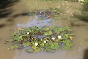 Gite 4 places, le Domaine de la Vallée