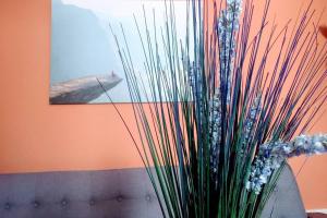 Apartamento 6 de Mayo