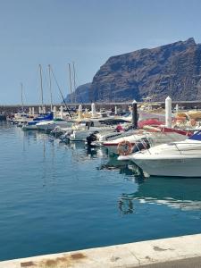 Los Gigantes apartment 113, 1 bedroom