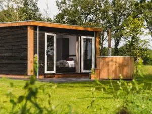 Wellness chalet with sauna, on the Holterberg - 莱森