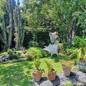 cozy mini loft near COLMEX FLACSO