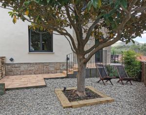 Apartment with Mountain View room in Apartaments Agulles de Montserrat