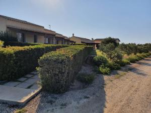 Agriturismo Is Solinas img30