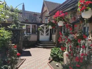 Casa Lidia - Densuş