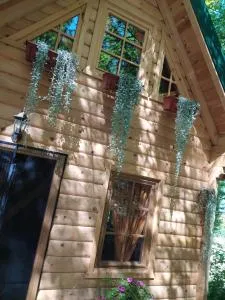 Brvnara Fairy Tale - Poljana