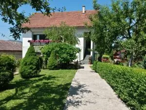 Guesthouse Pavličić - Drežnik Grad