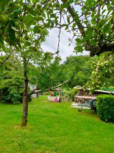 Maisons de vacances Le Gite de Colette et Jean-Claude : photos des chambres