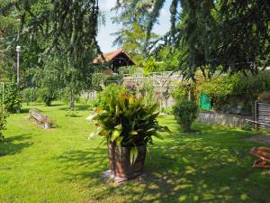 B&B / Chambres d'hotes Manoir Le Refuge : photos des chambres