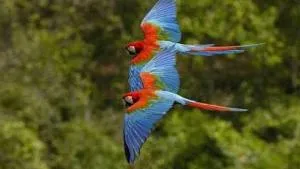 Park Veredas Apto 334 - Morrinhos