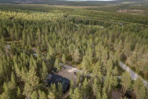 Hullun Mustikka Levi