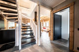 Hullun Mustikka Levi