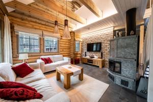 Hullun Mustikka Levi