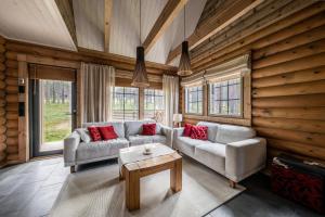 Hullun Mustikka Levi