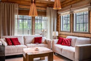 Hullun Mustikka Levi