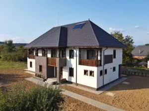 Pensiunea Casa Doamnei - Năpradea