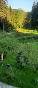 Pod Modrzewiem Mieszkania wakacyjne - Schnappe