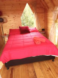 Glamping las 4 estaciones