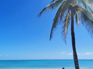 CondoHotel En Riviera Maya, Playa del Carmen