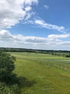 Rockinghams Farm - Tiptree