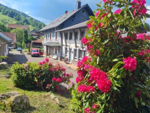 Maisons de vacances Locations des 3 sommets avec Sauna et Spa en Alsace : photos des chambres